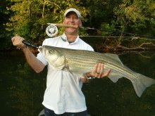 image striped bass 013.JPG